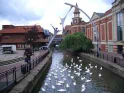 The swans of Lincoln, famed through the ages, as recorded at the time of Bishop Hugh himself. Wallpaper