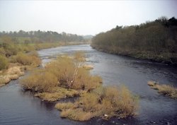 The River Tyne At Corbridge, Northumberland Wallpaper