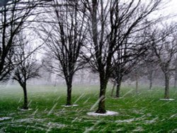 Alvaston Park - February snow-shower Wallpaper