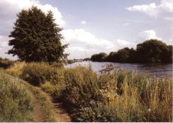 The River Thames near Eton wick, Berkshire. Wallpaper