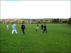 Alfred Major Recreation Ground - Cookham Rise Wallpaper