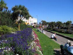 The Lawn, Dawlish, Devon. Wallpaper