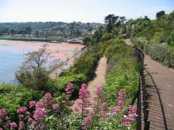 The Cliff Walk, Goodrington, Devon. Wallpaper