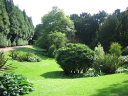 Newstead Abbey, Tropical Garden Wallpaper