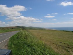 A picture of Abbotsbury Wallpaper