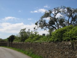 View of the Abbey through a tree at Abbotsbury, Dorset, England Wallpaper