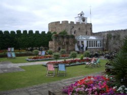 Garden in Sidmouth Wallpaper