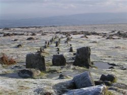 Cosdon Hill Cemetery, Dartmoor, Devon