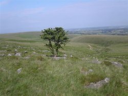 View near Red a ven, Dartmoor Wallpaper