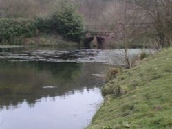 A lake at the Blackdown hills in Somerset Wallpaper