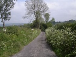 Rural country lane. Somerset, England Wallpaper