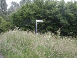 Sign post. Somerset, England Wallpaper