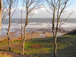 Above South Bay, Scarborough. Photo by Carl Tappin Wallpaper