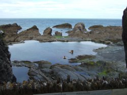 The Ladies Pool part of the Tunnel Beaches, Ilfracombe.  Taken August 2005 Wallpaper