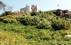 St Michaels Mount, Cornwall Wallpaper