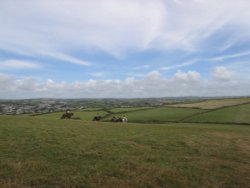 Pony trekking in Bude Wallpaper