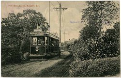 The Boulevard, Thorpe Bay, postcard mailed in 1929. Wallpaper