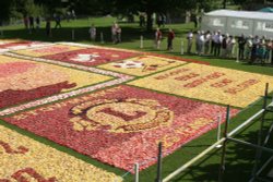 Begonia Carpet, Abbey Gardens,
Bury St Edmunds Wallpaper