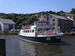 The River Dart at Totnes Wallpaper