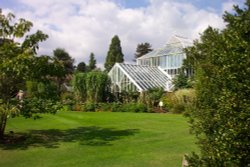 University Botanic Gardens, Cambridge Wallpaper