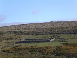 Sheepfold, Dartmoor Wallpaper