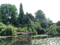 Biddulph Grange garden, Staffordshire Wallpaper