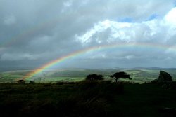 A picture of Dartmoor National Park Wallpaper