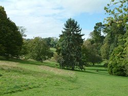 Peaceful scene, Cockington Country Park, Devon Wallpaper