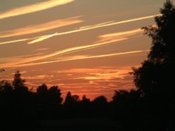 New Forest sunset at ocnell plain Wallpaper