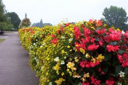 A pleasant walk along river bank, Worcester Wallpaper