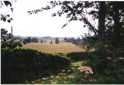 View of Newnham farm from Strawberry Cottage at Newnham Bridge,  nr Tenbury Wallpaper