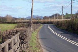 A distant Abberley Hill from the Worcester Rd, Newnham Bridge. Wallpaper