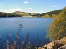 Looking across the reservoir towards Snakepass bridge Wallpaper