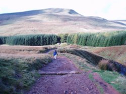 beginning the walk up pen y fan Brecon Beacons Wales Wallpaper