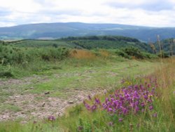 Exmoor from north hill above Minehead, Somerset Wallpaper