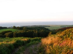 Overlooking Minehead, with Wales in the distance Wallpaper