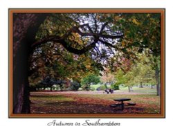 Autumn comes to Southampton Wallpaper