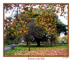 Autumn in the city; St Andrews Park looking North. Southampton Wallpaper