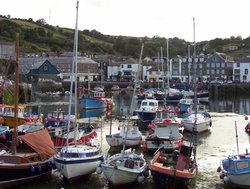 Mevagissey Harbour, Cornwall Wallpaper