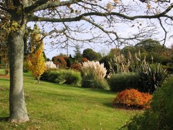 Wakehurst Place, West Sussex Wallpaper