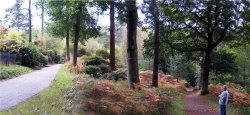 Wakehurst Place, West Sussex Wallpaper