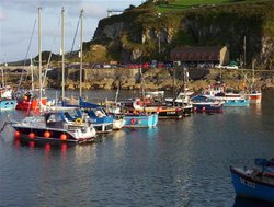 Mevagissey Harbour, Cornwall 04 Wallpaper