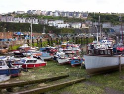 Mevagissey Harbour, Cornwall 04 Wallpaper