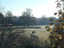 Frosty morning on the outskirts of Calmore, near Southampton, Hampshire Wallpaper