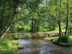 The stepping stones, Cannock Chase, Staffordshire Wallpaper