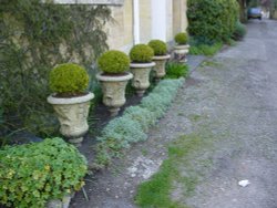 A narrow garden, Bradford-on-Avon, Wiltshire Wallpaper