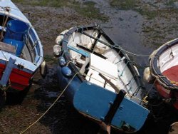 Boats at Brixham Wallpaper