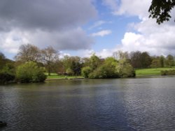 The Main Lake, Abington Park, Northampton Wallpaper