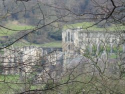 Rievaulx Abbey from Ashberry wood, North York Moors. Wallpaper