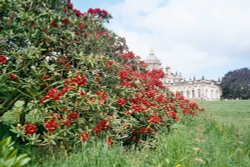 A picture of Castle Howard Wallpaper